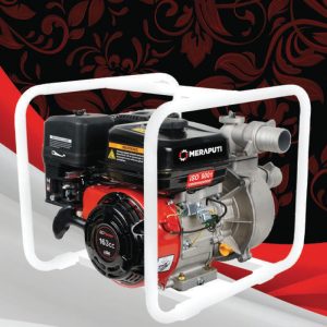 POMPA AIR GASOLINE MP PI50-5.5